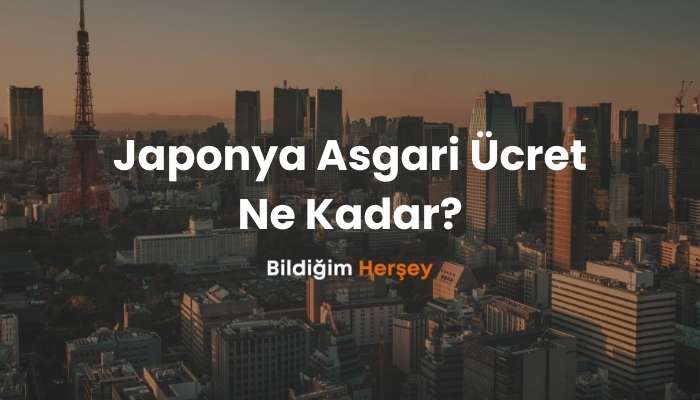 Japonya Asgari Ücret